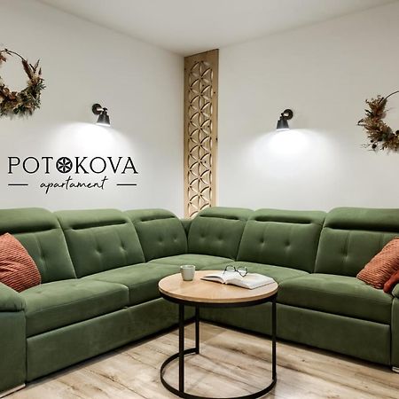Potokova Apartament Centrum Zakopane Esterno foto