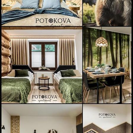 Potokova Apartament Centrum Zakopane Esterno foto