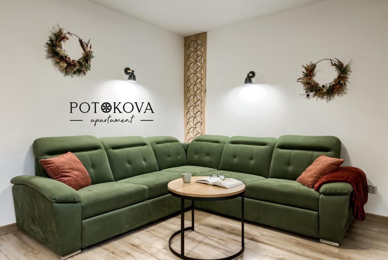 Potokova Apartament Centrum Zakopane Esterno foto