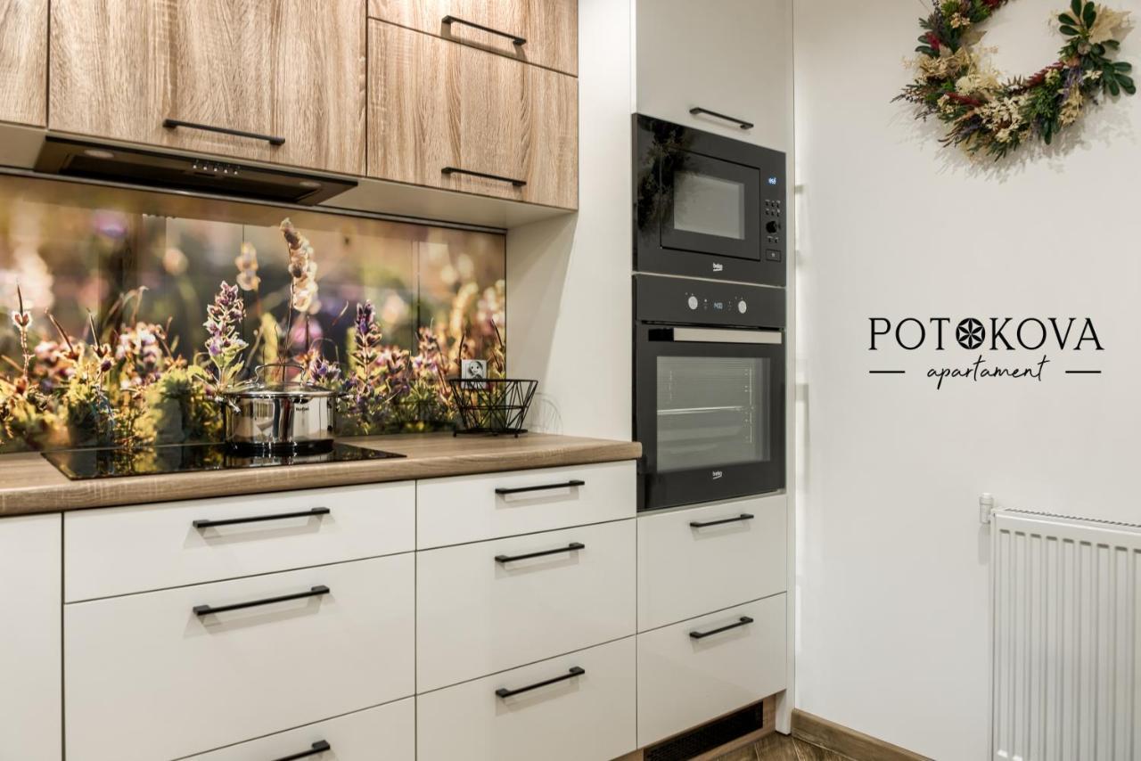 Potokova Apartament Centrum Zakopane Esterno foto