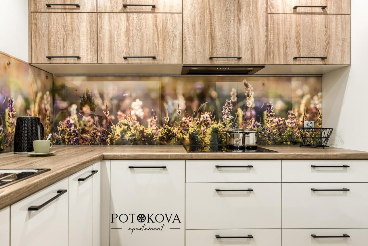 Potokova Apartament Centrum Zakopane Esterno foto