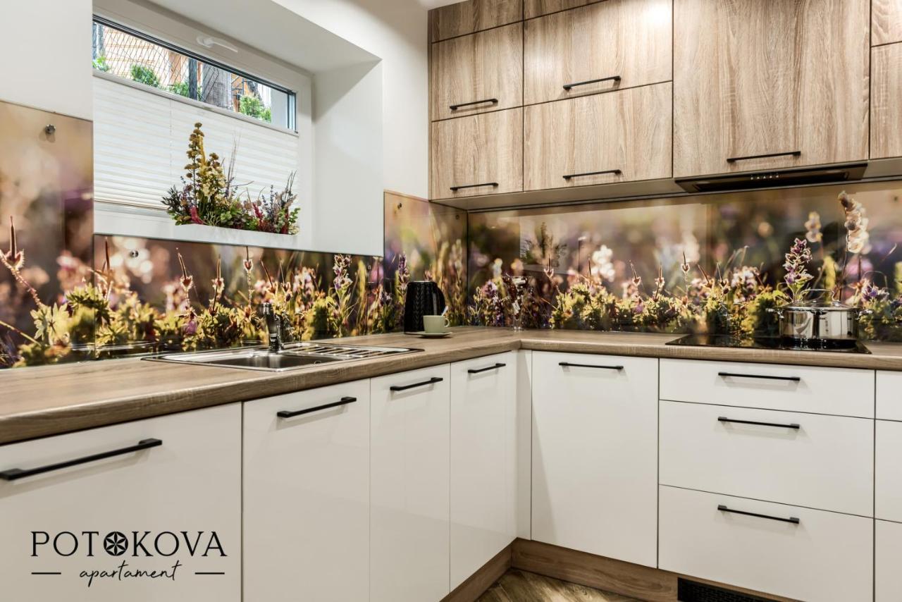 Potokova Apartament Centrum Zakopane Esterno foto